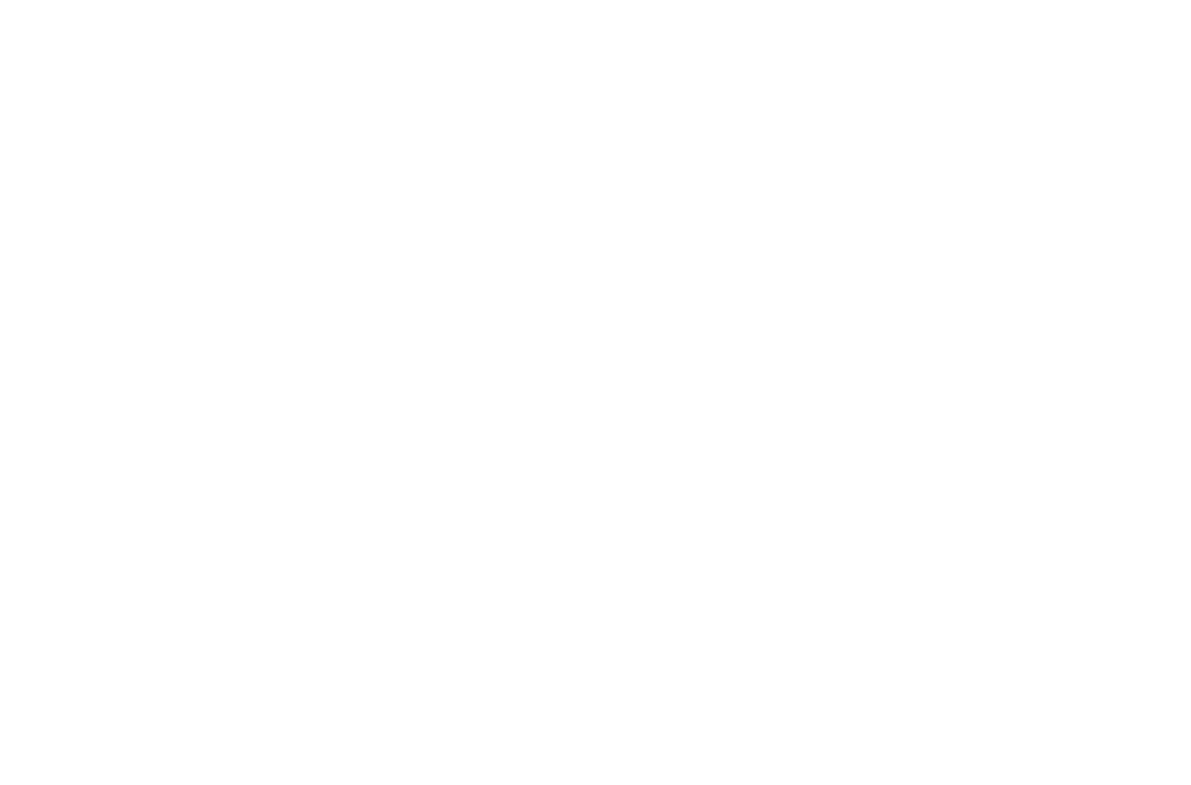 MDPI